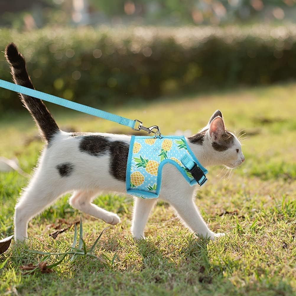 BINGPET Cat Harness - Mesh Cat Dog Walking Harness with Leash - Adjustable Cat Vest Harness for Kittens and Puppies - Pineapple