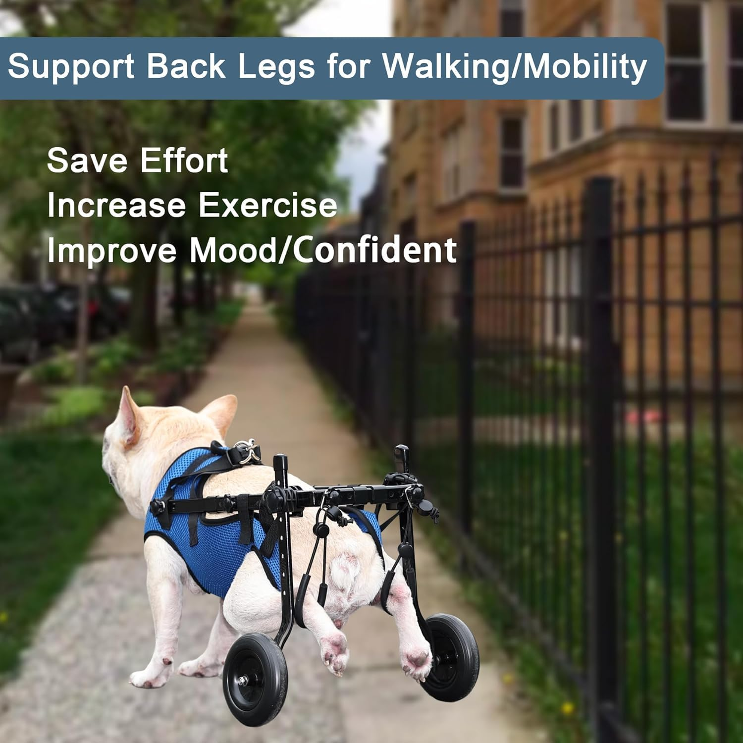 Adjustable Dog Wheelchair, Lightweight Dog Scooter for Back Legs, Max 11 Pound Dogs, Wheelchair for Paralyzed Injured Lame Disabled Handicapped Dogs - XS image number 1