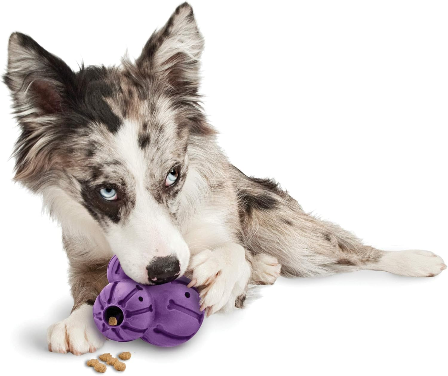 Petsafe Busy Buddy Barnacle - Dog Chew Toy - Treat Dispensing Dog Toys image number 5