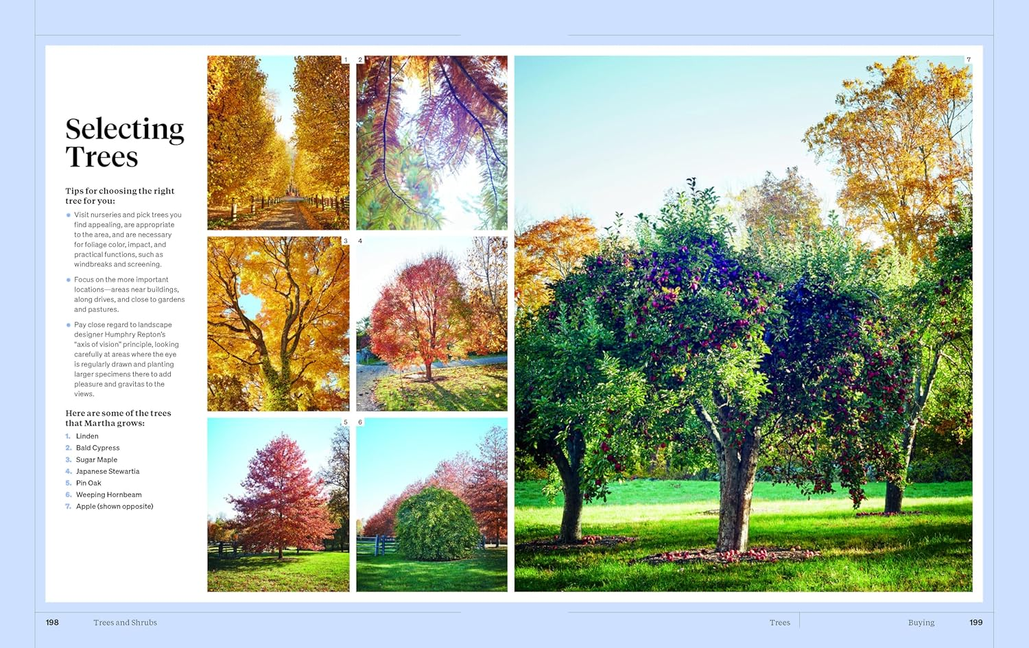 Martha Stewart'S Gardening Handbook: the Essential Guide to Designing, Planting, and Growing image number 4