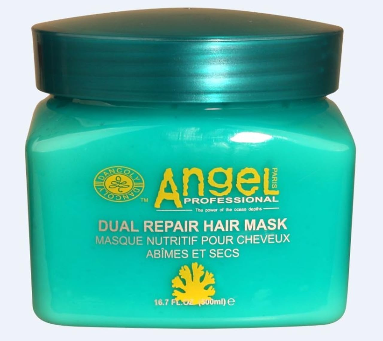 Angel Paris Professional Dual Repair Hair Mask - 500Ml