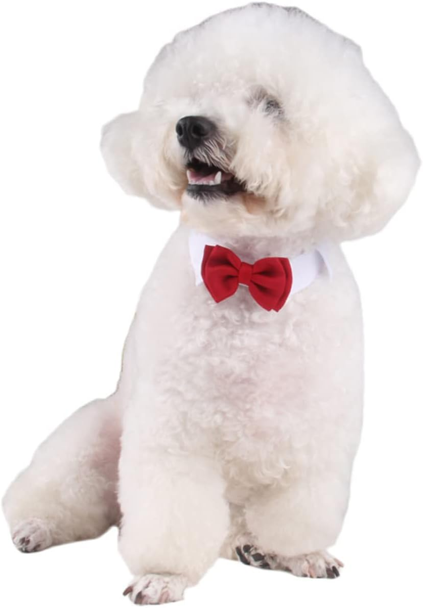 Ipetboom Pet Bowknot Collar Cat Cotton Tie for Daily Party Red Bow Tie Pet Supplies for Cat Accessories image number 2