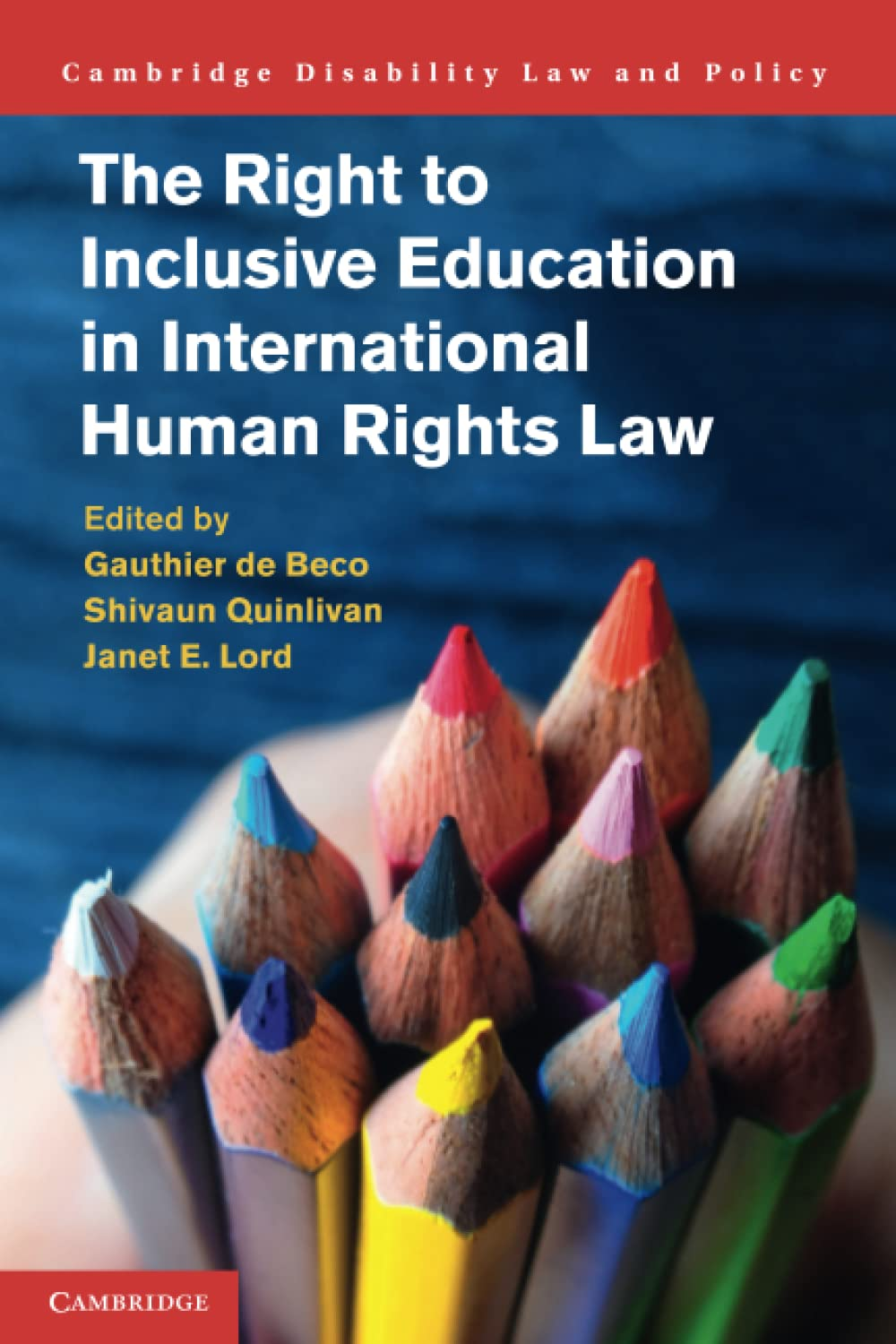 The Right to Inclusive Education in International Human Rights Law image number 1