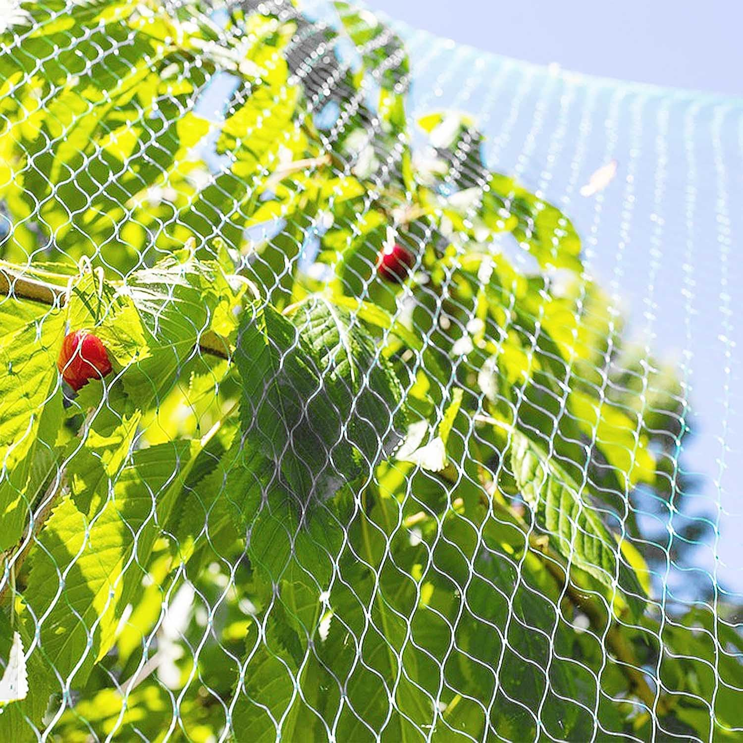 Lovesmile Cat Protection Net, Balcony Net, 5 X 5 M Balcony Net for Cats, Cat Net Balcony No Drilling, Bird Protection Net Tight Mesh, Bird Nets Bird Protection Net for Garden Fences, Fences, Orchards image number 3