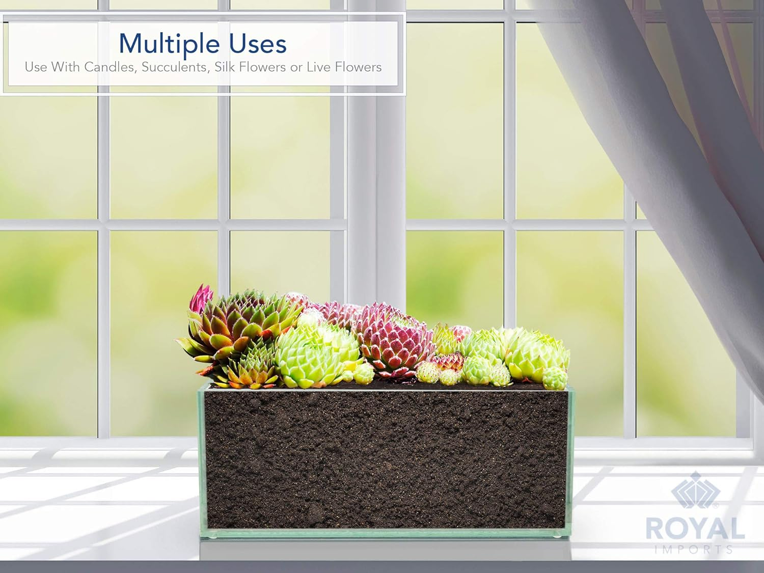 Royal Imports Flower Glass Vase Decorative Centerpiece for Home or Wedding - Oblong Rectangle Shape, 12" Long, 4" Hx4 W Opening, Clear image number 5