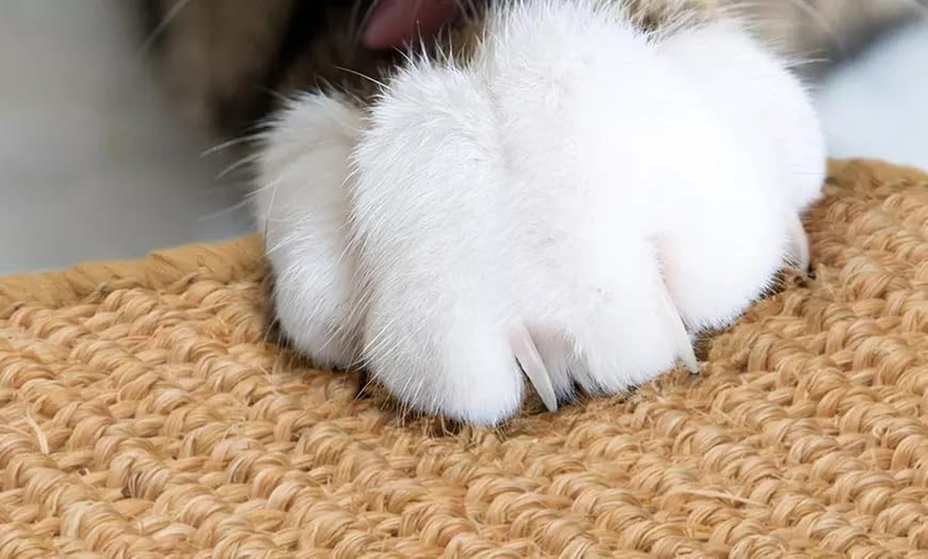 Sisal Cat Scratch Mat (60X40Cm): Durable Pad, Furniture Protector