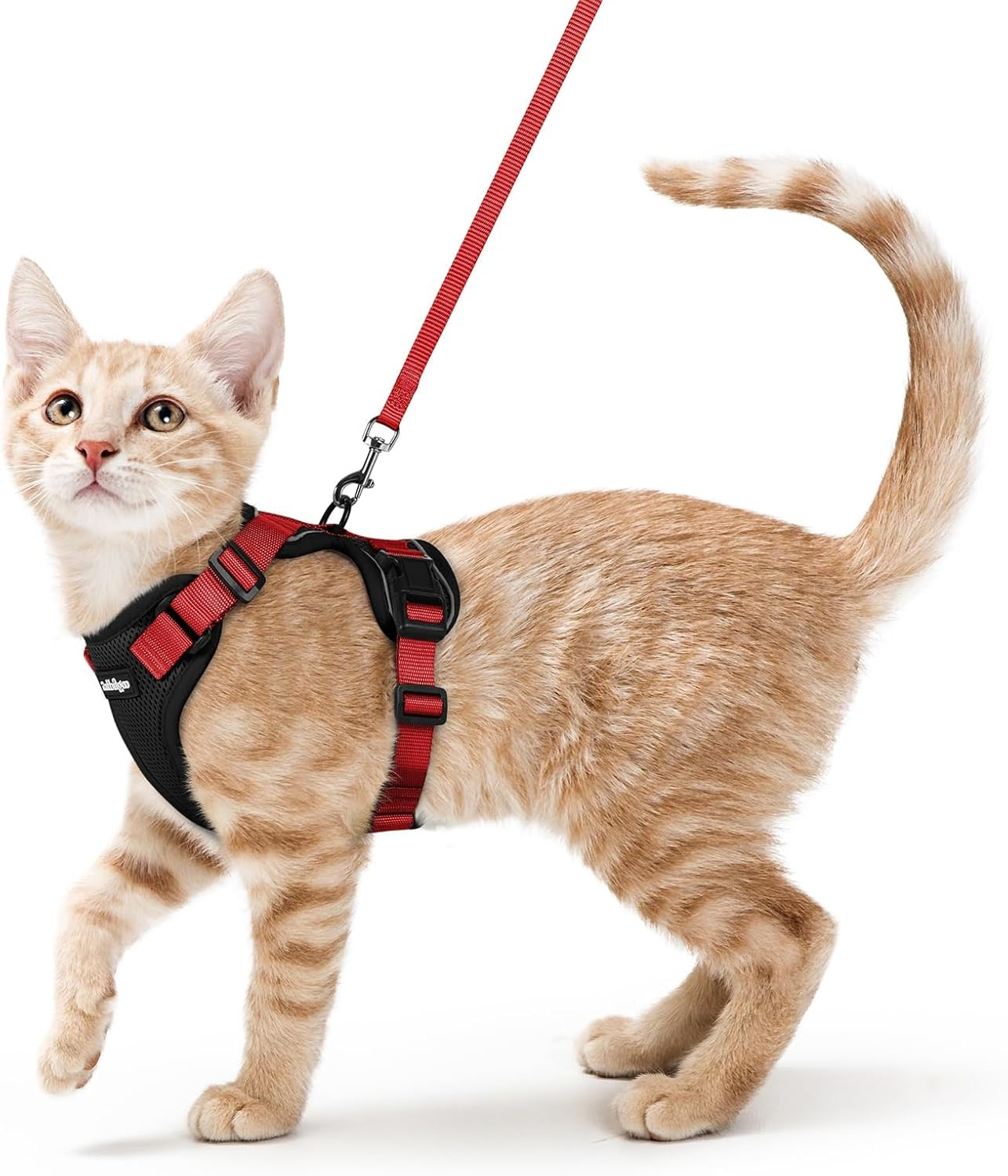 Rabbitgoo Cat Harness and Leash for Walking, Escape Proof Soft Adjustable Vest Harnesses for Cats, Easy Control Breathable Reflective Strips Jacket,Pink, XS