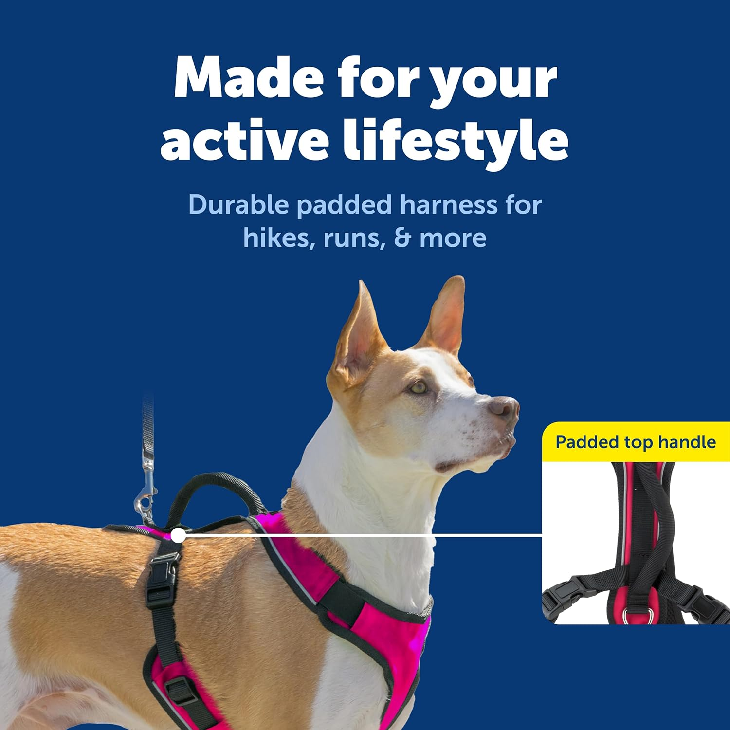 Petsafe Easysport Dog Harness, Adjustable Padded Dog Harness with Control Handle and Reflective Piping, from the Makers of the Easy Walk Harness,Pink,Medium image number 3