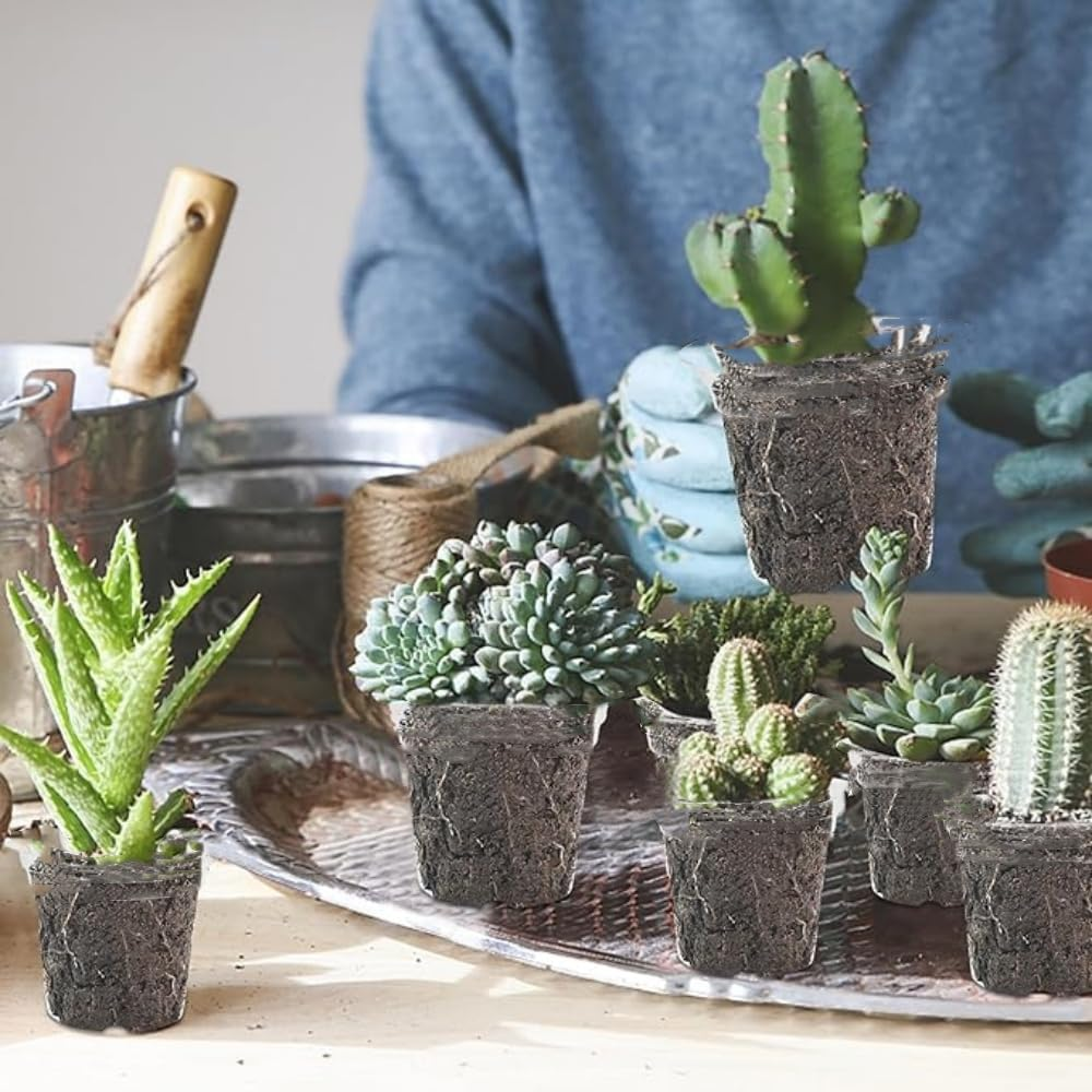 3PCS Clear Plant Pots with Drainage Holes, 5/4/3.5 Inch Clear Pots for Plants, Acrylic Transparent Plastic Plant Pots Square for House Plants, Flowers with 6Pcs Labels image number 4