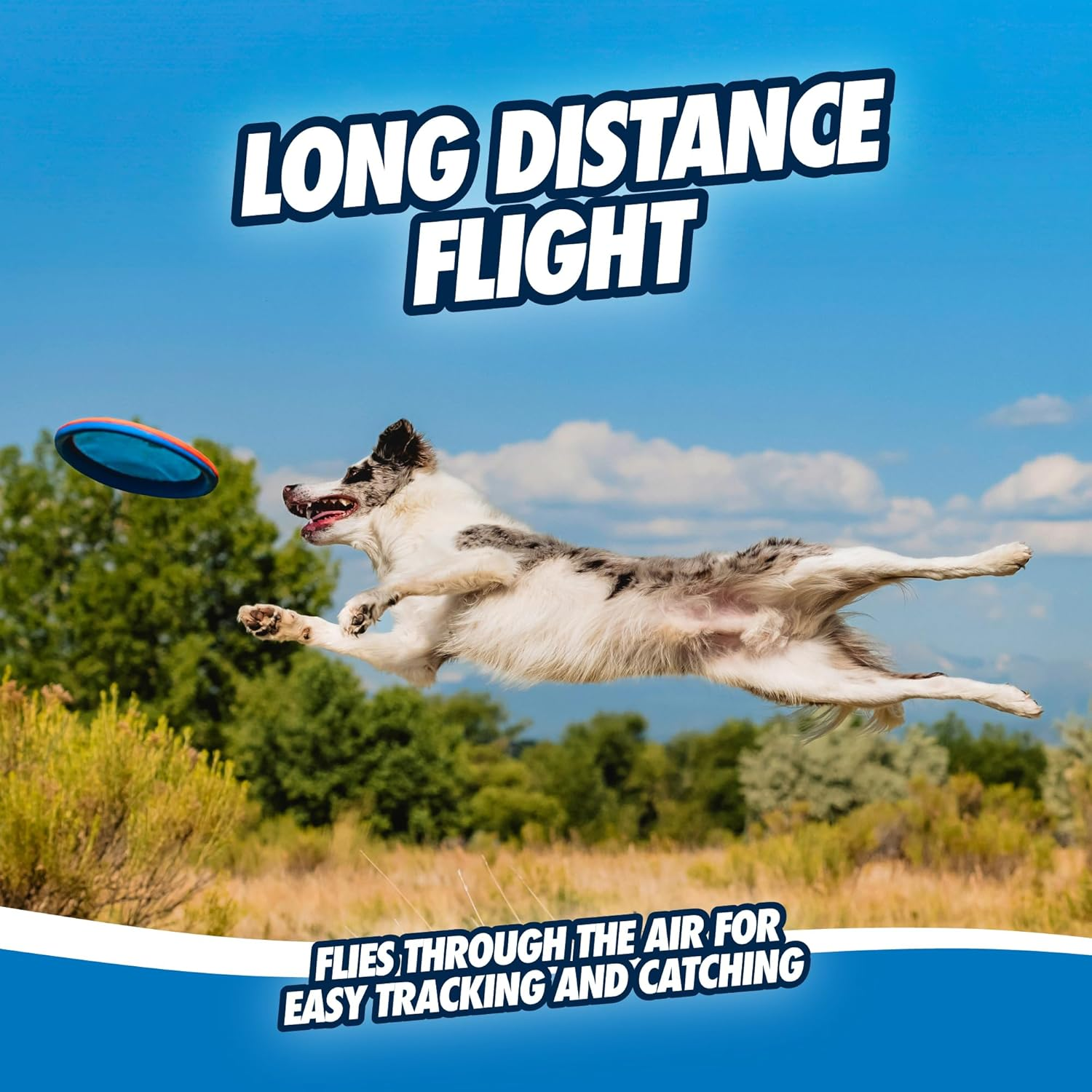 Chuckit! Paraflight Flyer Dog Frisbee for Long Distance Fetch Green/Blue, Large