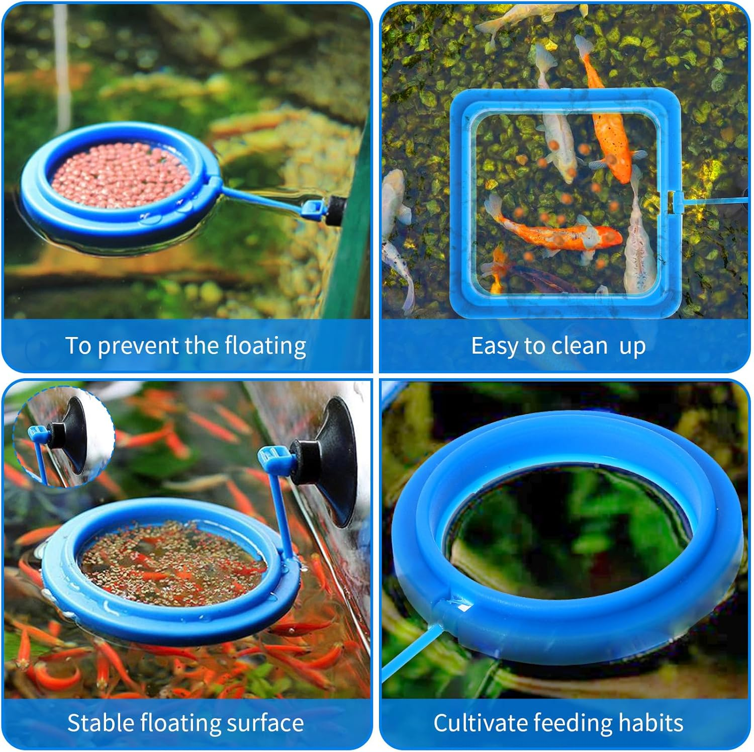 2 Pcs Fish Feeding Rings, Bule Aquarium Floating Plant Rings Fish Feeder Food Feeder Circle round and Square Aquarium Accessories for Bettas Guppy Goldfish Floating Plants in Place