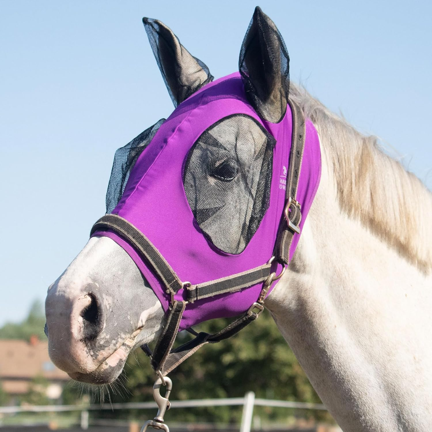 Harrison Howard Super Comfort Stretchy Fly Mask Large Eye Space with UV Protection Soft on Skin with Breathability Paisley Wave Cob (Medium)