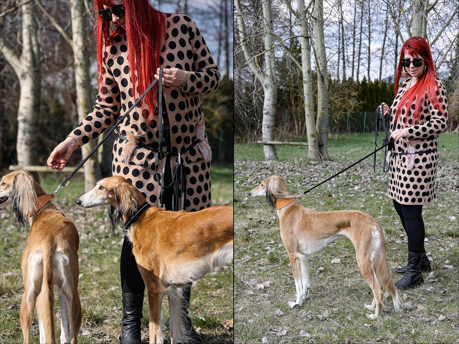 DINGO Dog Walking Belt with Shock Absorber, Large Carabiner for Excess of the Rolled-Up Leash, 6 Meters Long Lead, Adjustable Waist Belt with Plastic Buckle, Universal Size, Black (99788) image number 6