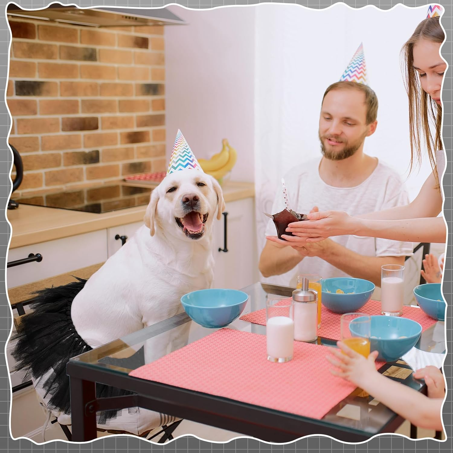 Dog Tutu Tulle Tutu for Dogs Small Large Medium Puppy Dress Ballerina Costume Skirt for Halloween Puppy Cats Bunny Pet Outfit Birthday Wedding Party Photo Prop Supplies(Black) image number 3