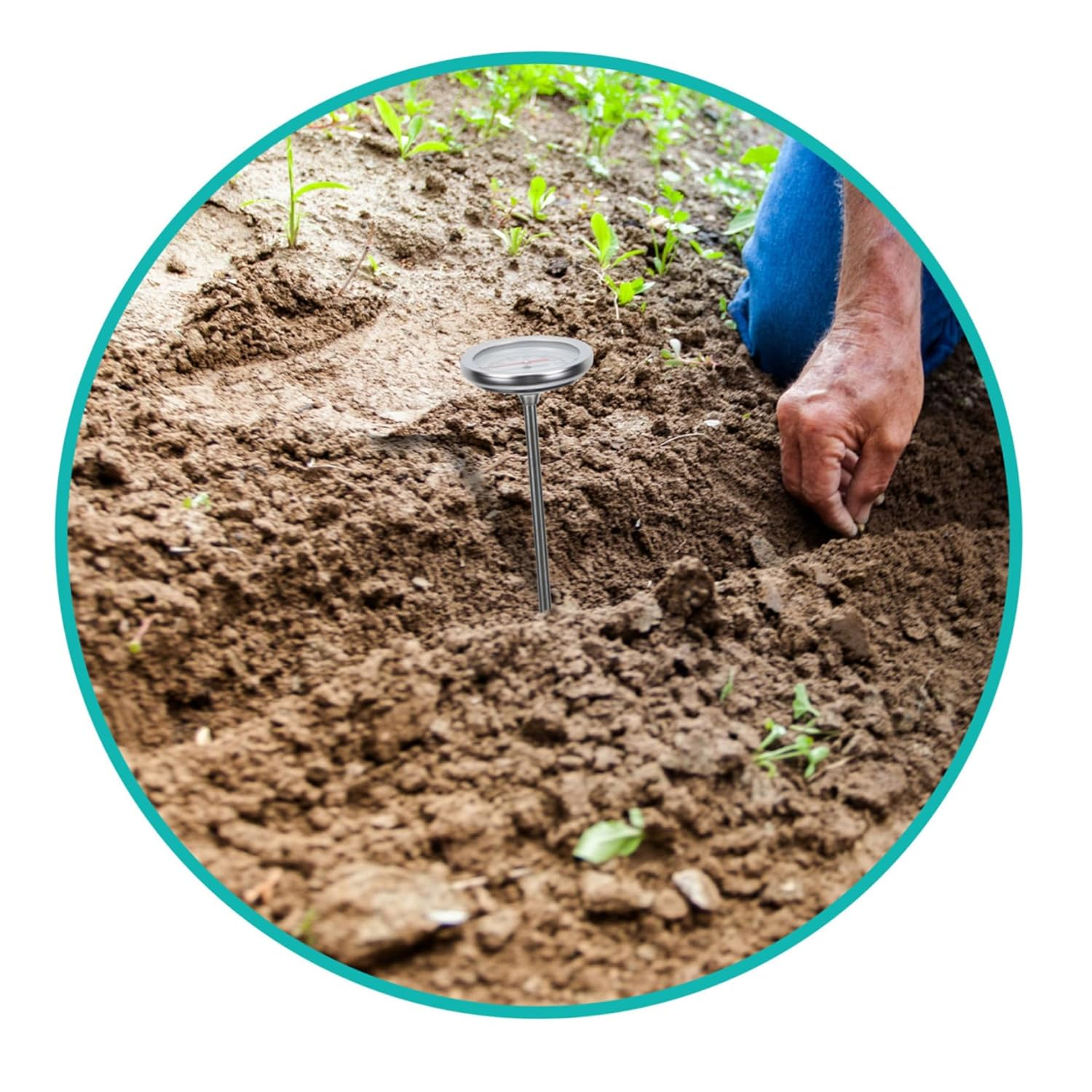 Balacoo Stainless Steel Compost Thermometer Probe with Scale Soil Temperature Gauge for Gardening Accurate Measurement C to C