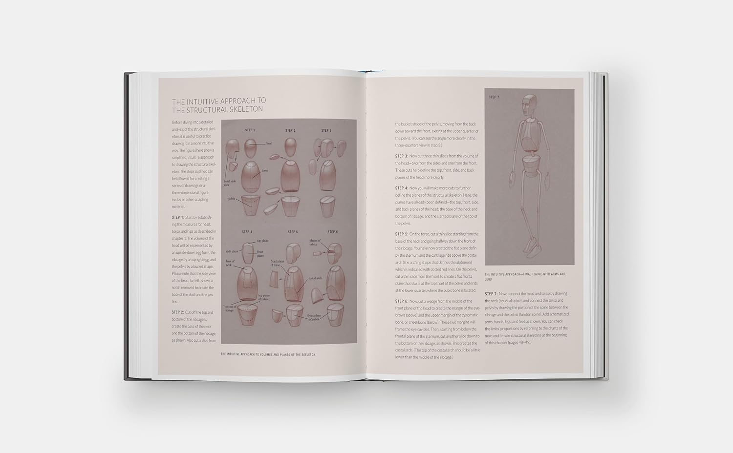 Basic Human Anatomy: an Essential Visual Guide for Artists image number 5