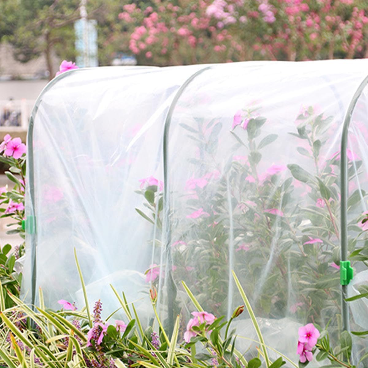 AIMALL Small Gardening Greenhouse with Insulation Film, 39.37In Pe-Coated Frame Plant Shelter for Seedlings, Anti-Freezing Rainproof Mini Green House for Flowers and Vegetables image number 1