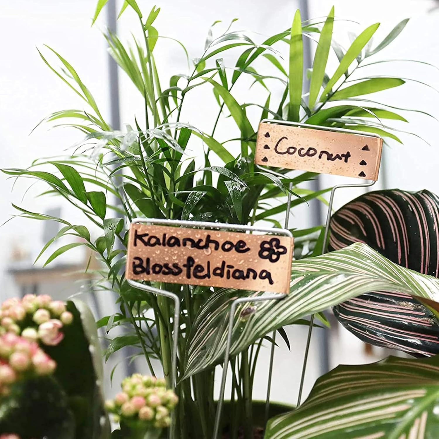 20-Pack Waterproof Copper Plant Labels - 25.5Cm Garden Markers for Seedlings, Flowers, Vegetables, and Herbs image number 4