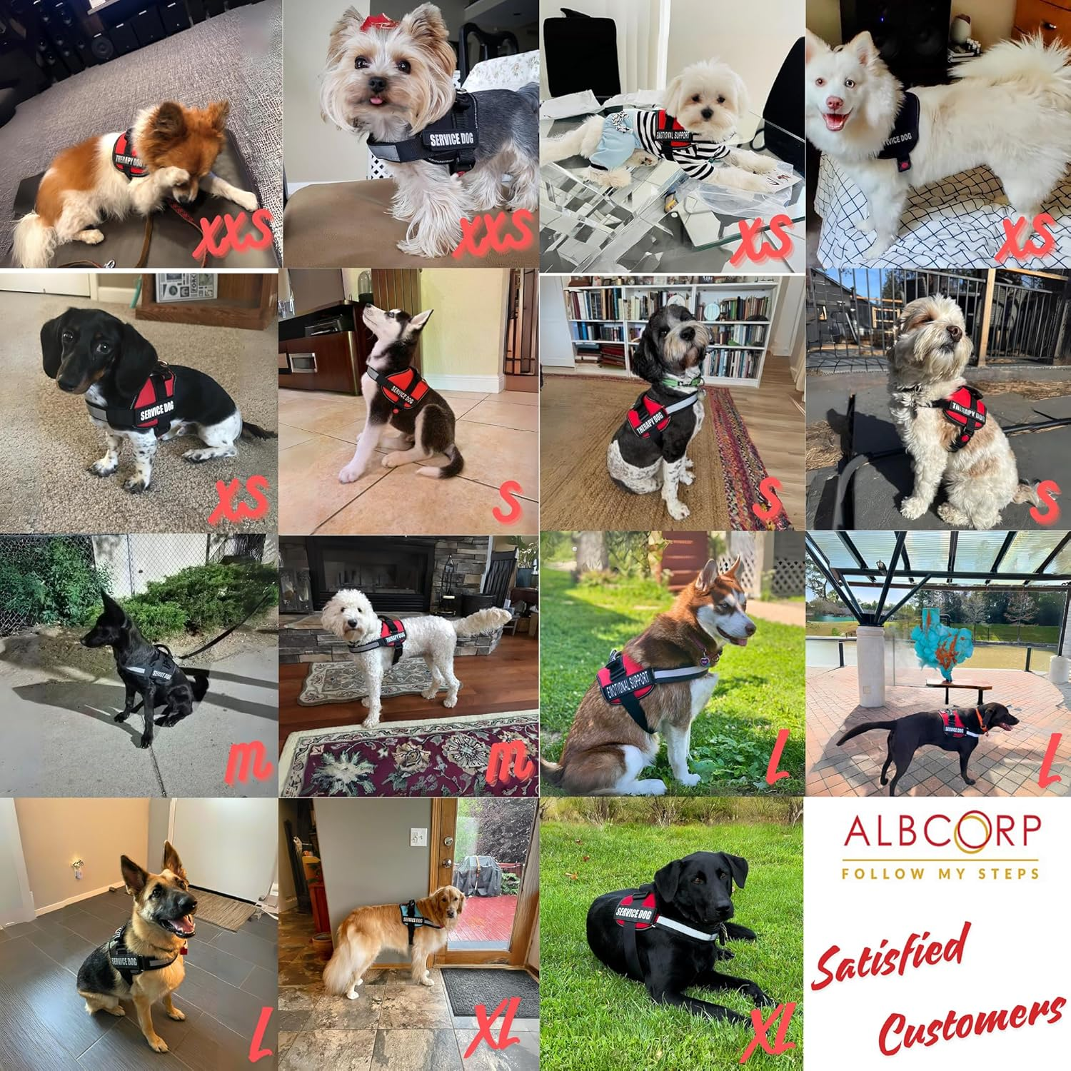 ALBCORP Service Dog Vest Harness &ndash; Reflective, No-Pull Harness with Handle & Comfy Mesh Padding &ndash; Sizes XXS-XL for Puppies, Small & Large Dogs &ndash; 2 Removable Service Patches Included(Xxs, Red) image number 3