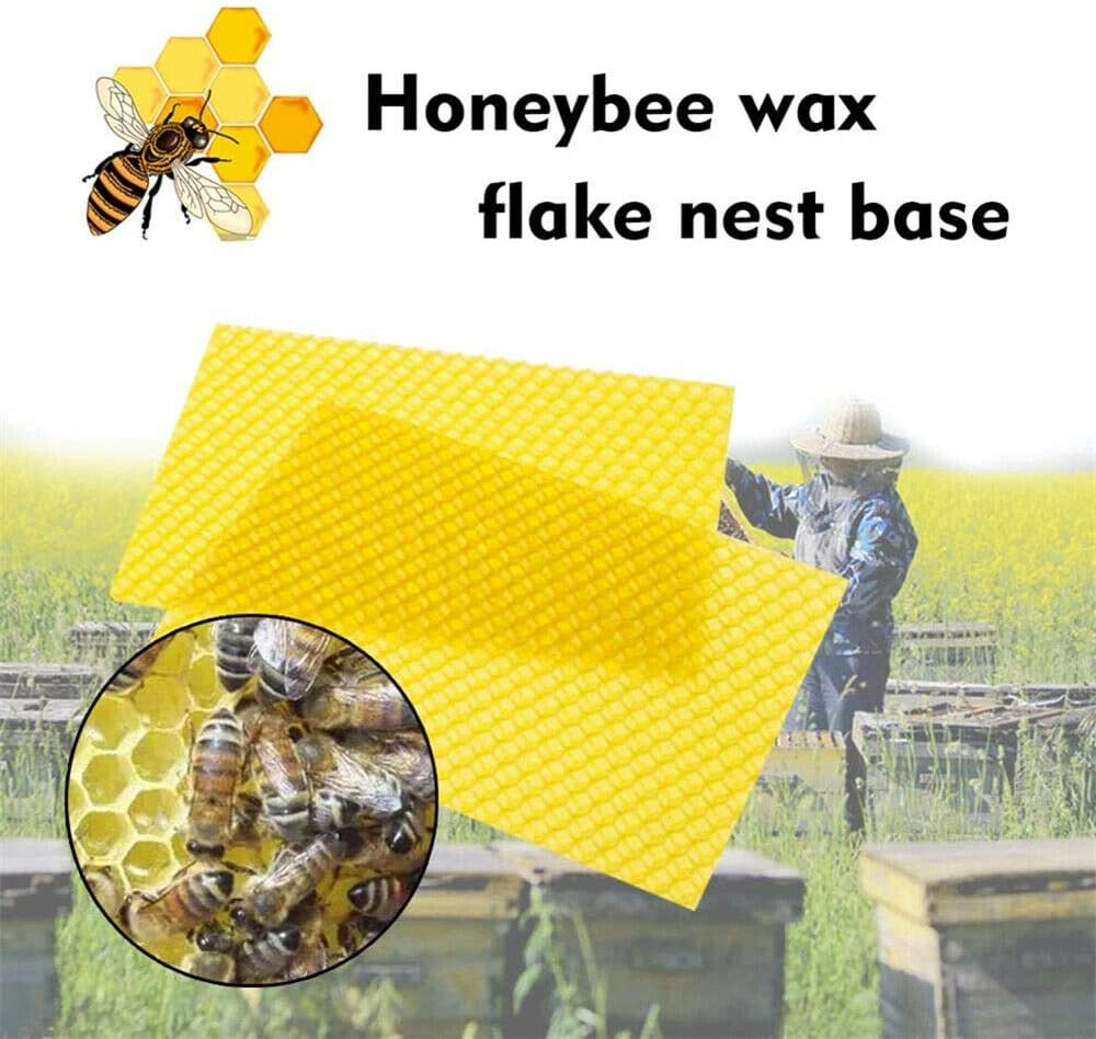 Wax Frames Beekeeping Honey Bee Hive Equipment 30PCS image number 6