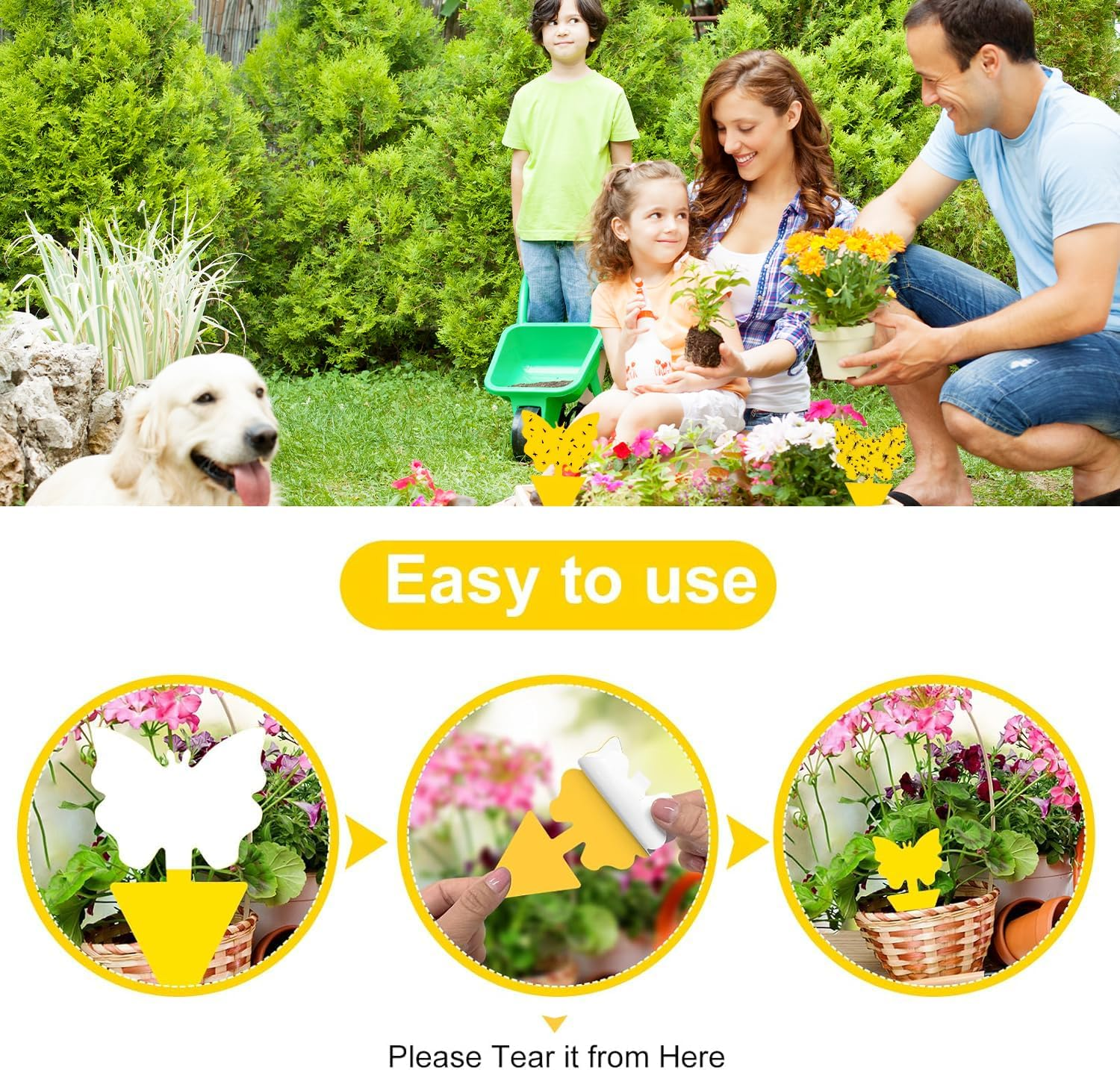 60 PCS Sticky Traps, Gnats Fruit Fly Traps, Butterfly & Christmas Tree Dual-Sided Sticky Insect Catcher for Fungus Gnats Whiteflies Mosquitos Aphids Leafminers Flying Insects, Indoor and Outdoor Use image number 3