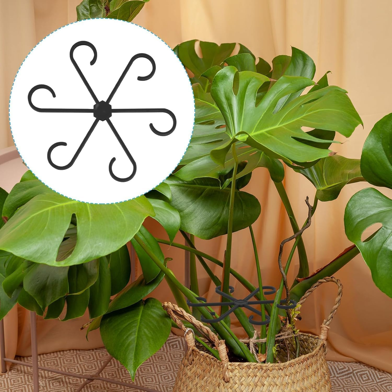 4Pcs Plant Stem Support, Climbing Houseplant Stem Supports Plant Climbers Stem Holders Plants Climbing Rack Plant Growth Accessories for Climbing Plants (Black) image number 1