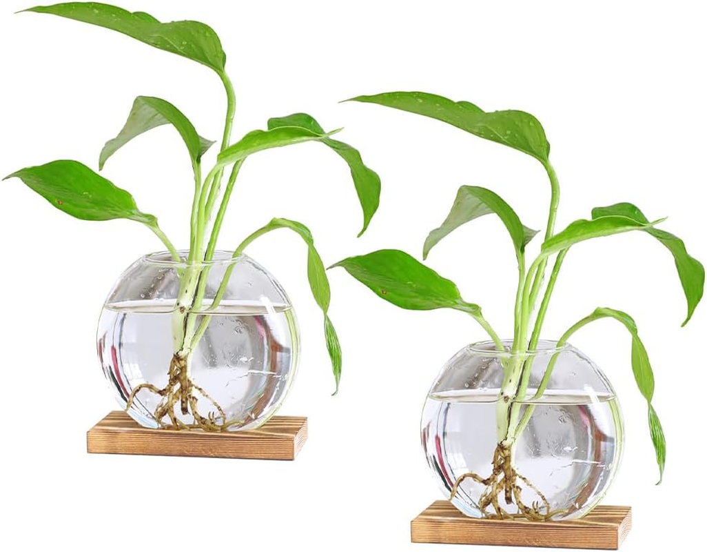 Desktop round Glass Planter Terrarium Flower Vase with Wooden Stand for Propagation Small Hydroponic Plants Home Office Decor, 2 Pack (Brown) image number 1