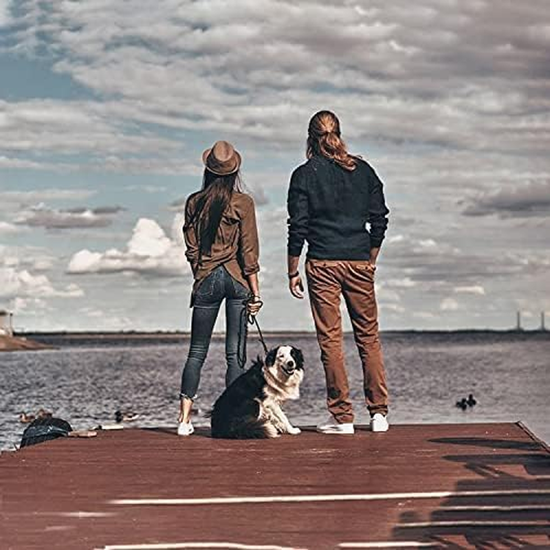 215 * 2.5Cm Multifunctional Dog Leash for Dogs,Adjustable Dog Leash,Double Ended Lead, Adjustable to 4 Different Lengths,For Two Dogs Walking (Black, 215 * 2.5Cm) image number 4