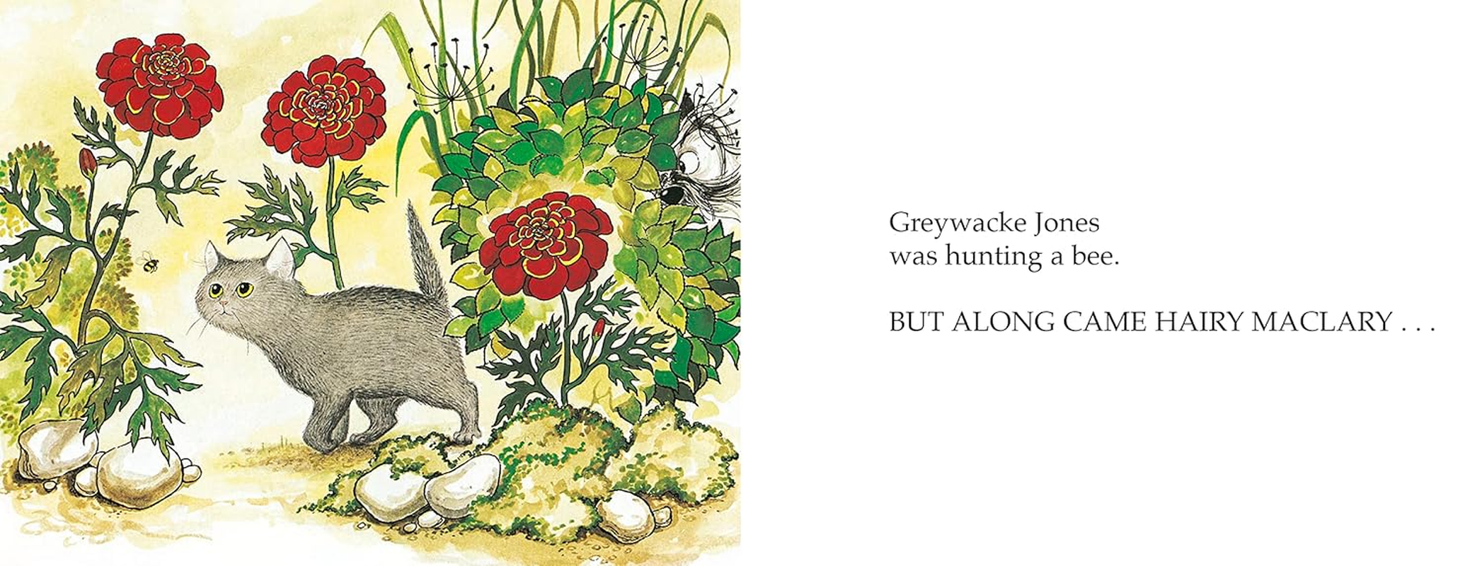 Hairy Maclary Scattercat image number 3