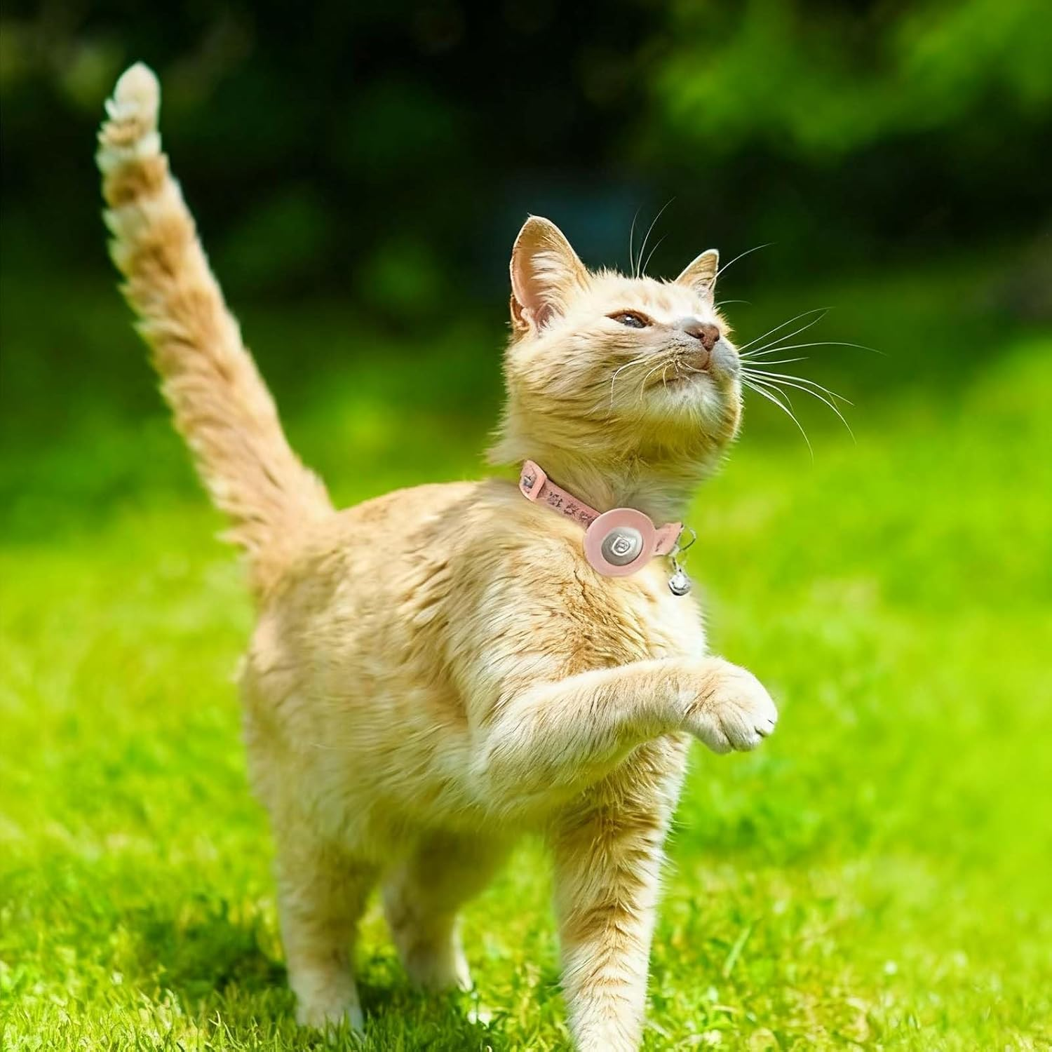 Kexkceql 2-Pack Adjustable Cat Collar for Apple Airtag，2 Styles (Footprint & Reflective)，Pet Anti-Lost GPS Collars with Safety Buckle，Pink, M (7.5-12.6 Inches) image number 4