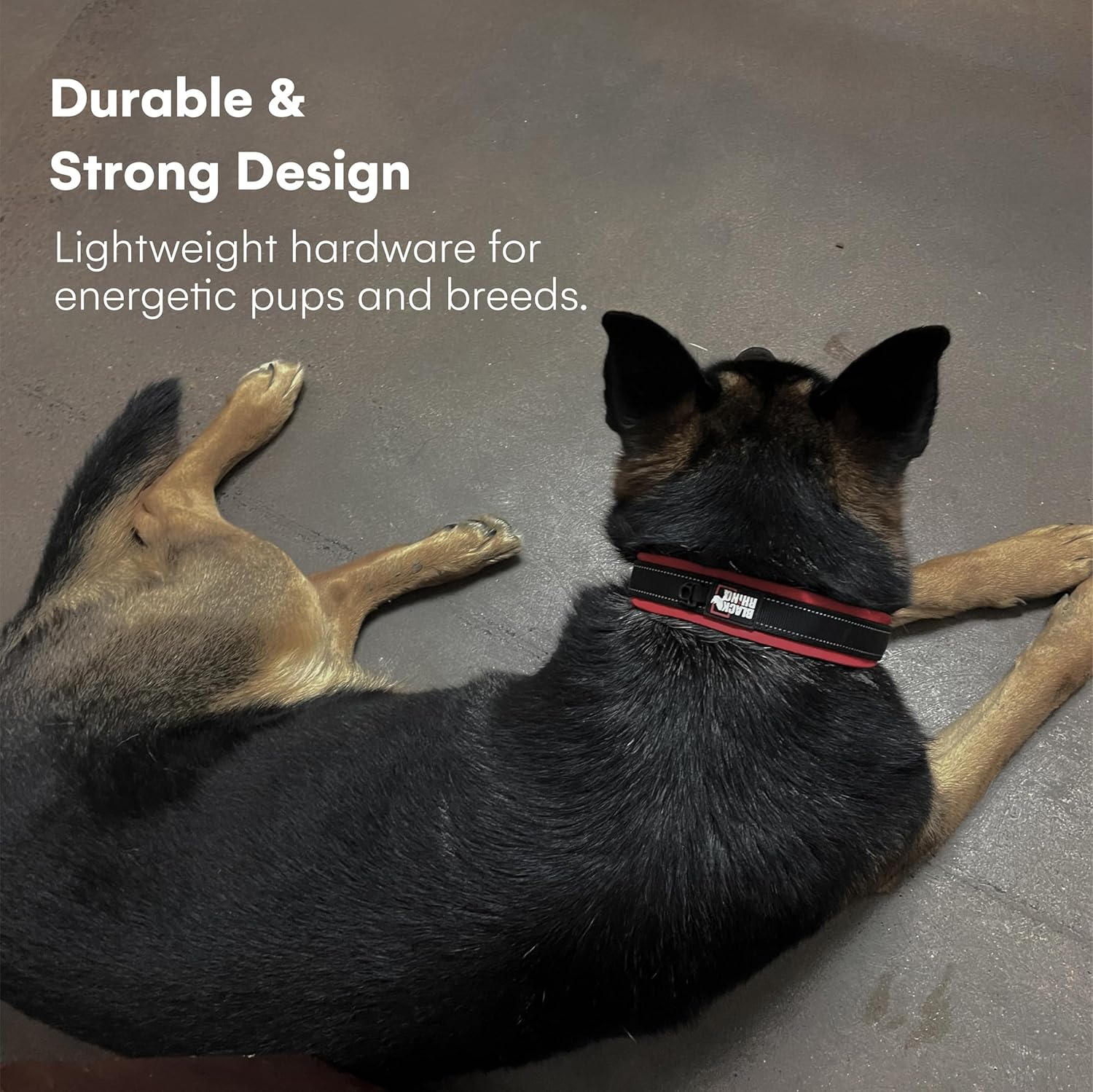 Black Rhino - the Comfort Collar Ultra Soft Neoprene Padded Dog Collar for All Breeds - Heavy Duty Adjustable Reflective Weatherproof (Large, Burgundy/Bl)