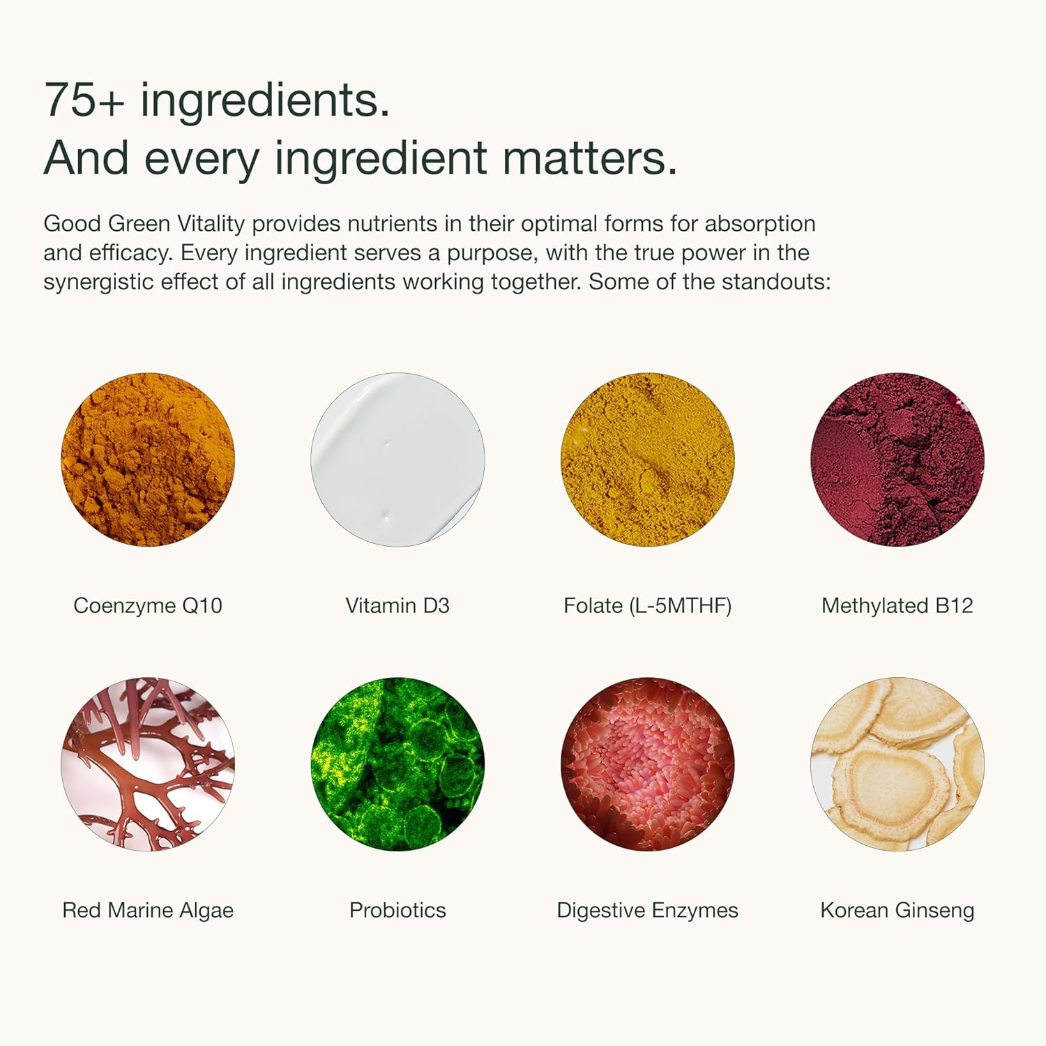 Greens Powder by Nuzest &ndash; Good Green Vitality &ndash; Filled with Vitamins, Minerals & Superfoods &ndash; Vegan Multivitamin Greens Drink- Gluten Free - Dairy Free - 300G - 30 Servings image number 3