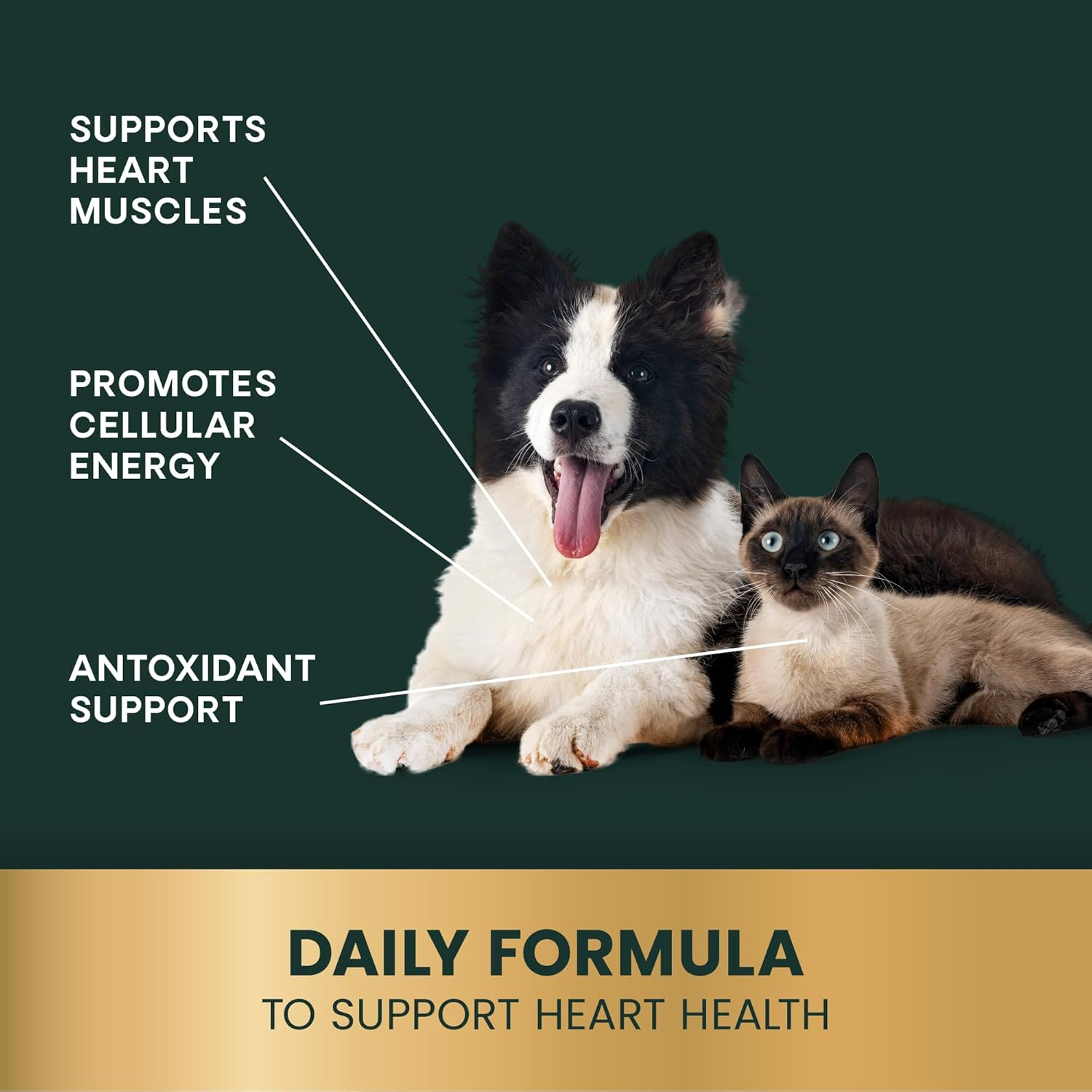 Vetriscience Coq10 Healthy Heart Easy-Open Capsules, Coenzyme Q10 Cardio and Healthy Aging Supplement for Dogs and Cats, Heart Support Supplement with 10 Mg Coq10, 100 Count image number 4