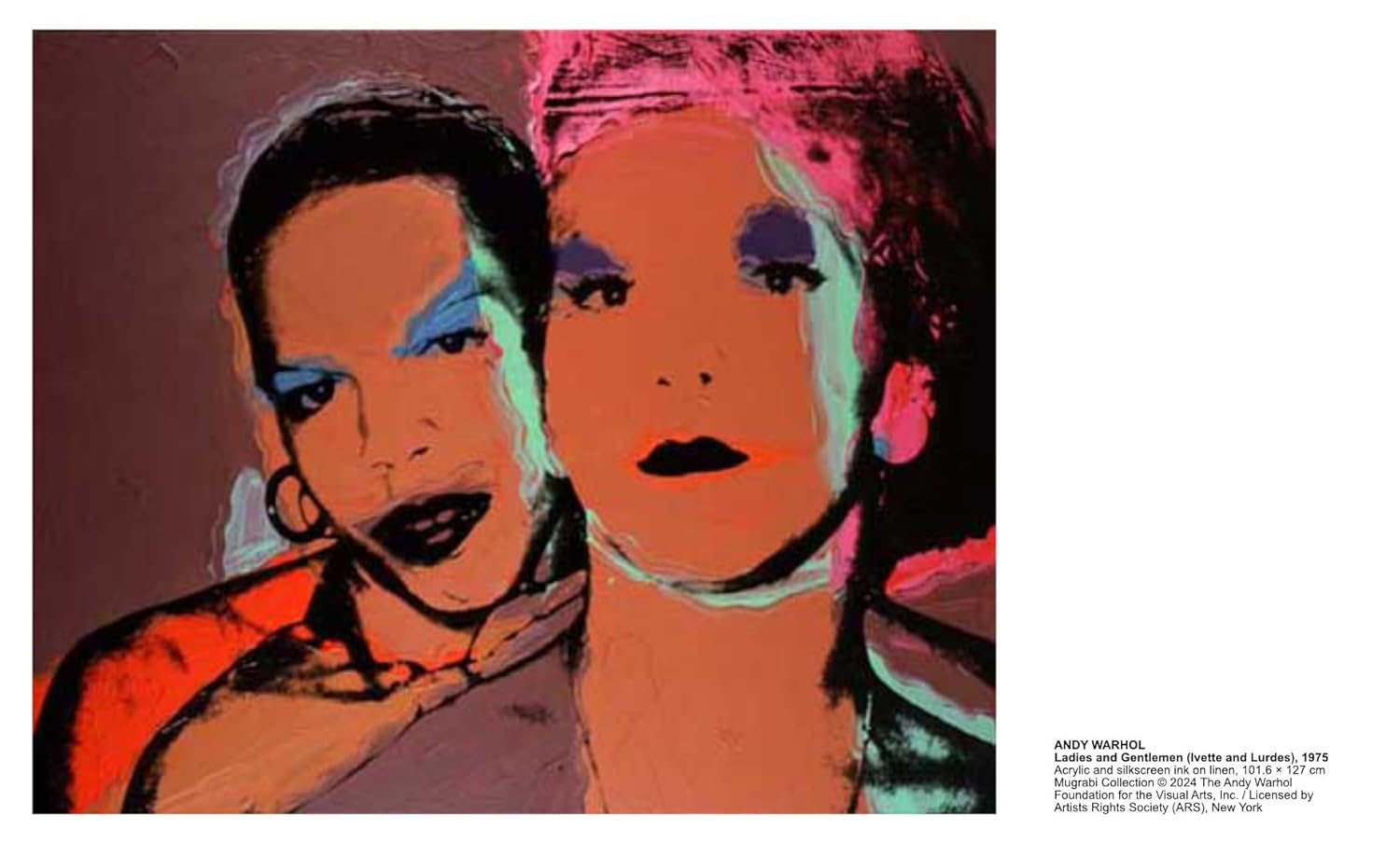Andy Warhol: Velvet Rage and Beauty image number 1