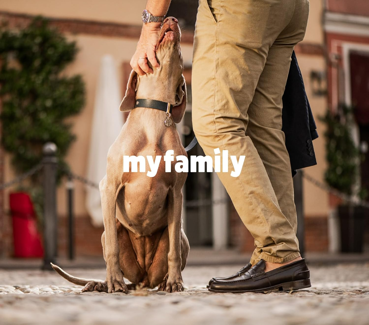 My Family Charms Daisy ID Tags for Pet image number 4