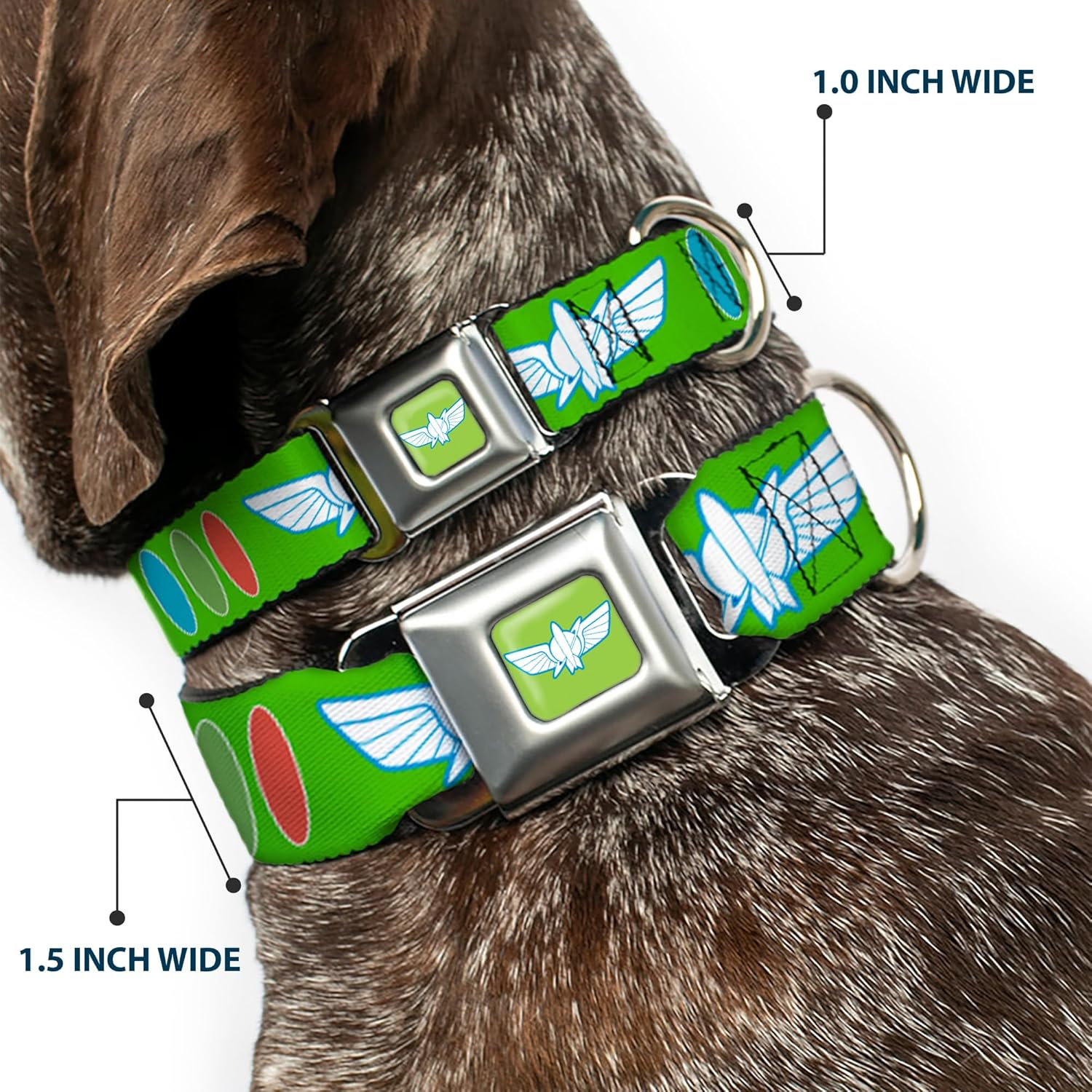Dog Collar Seatbelt Buckle Toy Story Buzz Lightyear Bounding Space Ranger Logo Buttons 15 to 26 Inches 1.0 Inch Wide