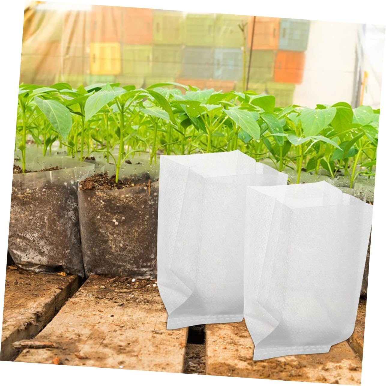 SEWOART 100Pcs Non-Woven Plant Grow Bags Breathable Containers for Gardening and Reusable Planting Pouches for Root Pruning and Sustainable Gardening Practices image number 6