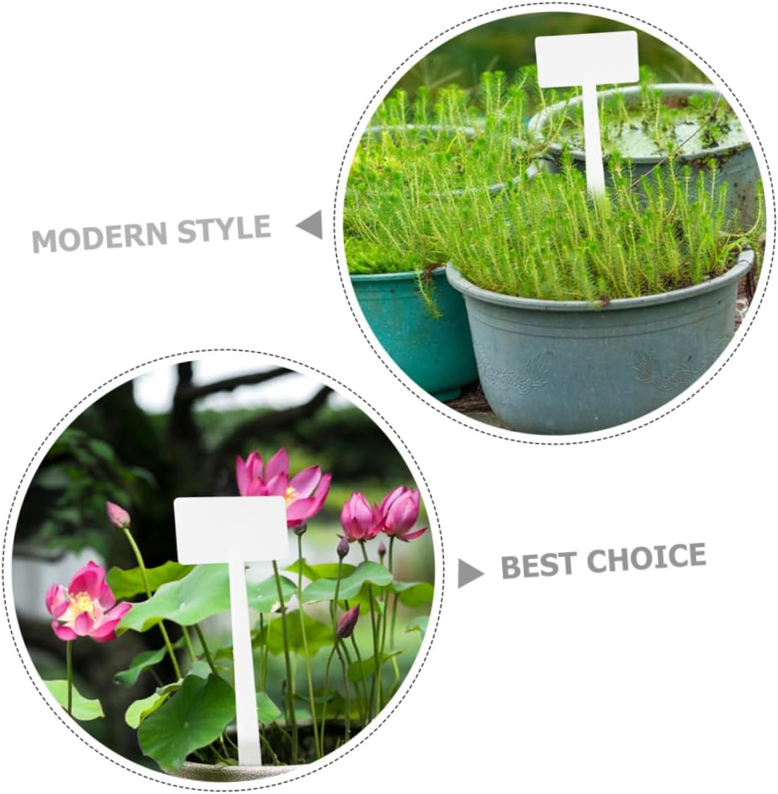 10Pcs Plant Tags Landscape Signs for Gardening Easy to Use Write Lightweight Safe for Plants for Garden Decoration