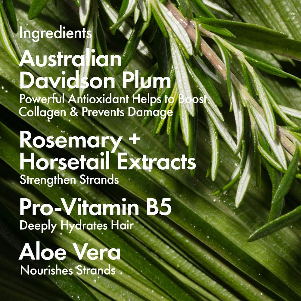 Bondiboost Heat Protectant Spray 4.23 Fl Oz - Thermal Hair Protection from Heat Styling - Light Weight Formula - Sulfate + Paraben Free, for Women + Men - Vegan/Cruelty-Free - Australian Made image number 3