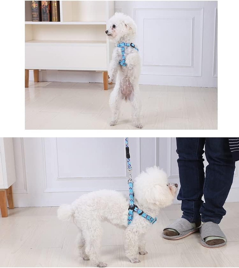YES4PETS 2 X Medium Pet Dog Cat Puppy Kitten Rabbit Dog Harness Collar Leash Lead 5 Color image number 4