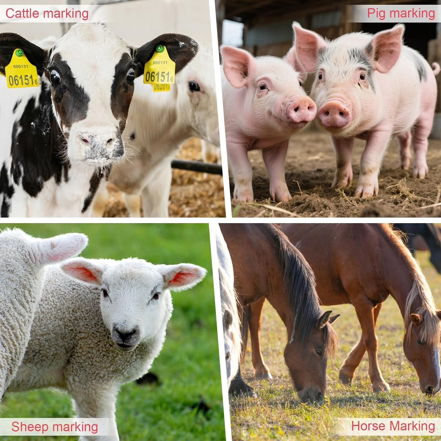 Cordless Tagger & Livestock Tagging Tool,Electric Cow Ear Tagger,Removable Battery,Cattle Battery Operated Ear Tagger,For Rapid Marking of Pigs, Cattle and Sheep image number 2