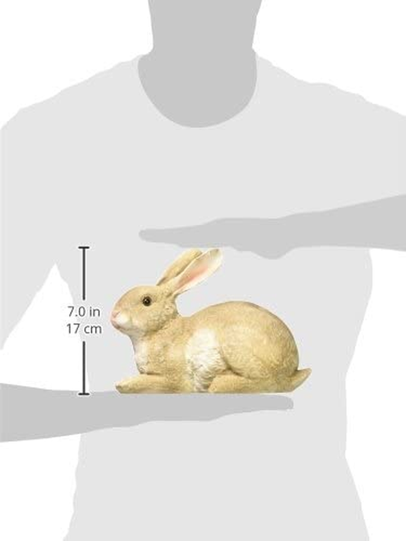 Design Toscano QM200861 ! Bashful, the Bunny, Lying down Garden Rabbit Statue 10 Inch image number 6