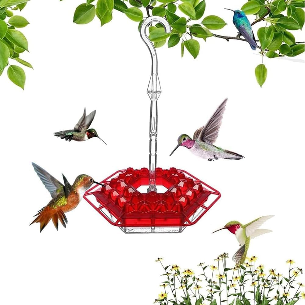 Ranqisys Glass Hummingbird Feeder for Outdoor Use &ndash; Red Hanging Feeder with Moat, Ant & Bee Resistant, Easy to Clean Bird Nectar Feeder for Garden image number 3