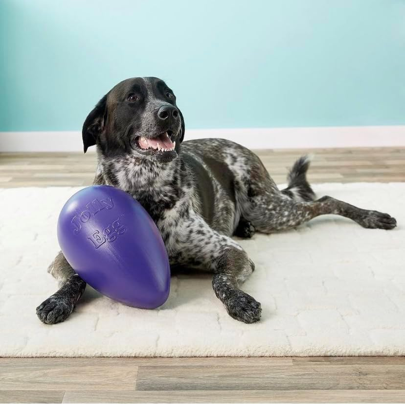 Jolly Pets Jolly Egg Dog Toy, 8 Inches/Medium, Red (JE08 RD) image number 4