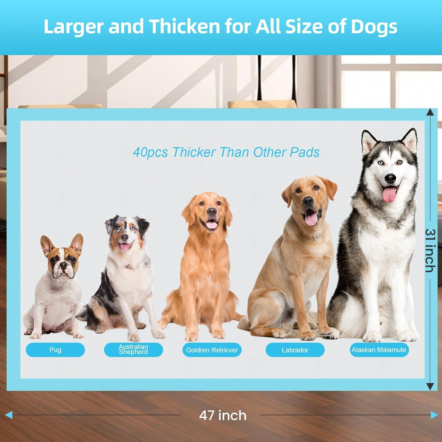 50 Pack Puppy Disposable Training Pads 60X60Cm, 6 Layers Large Puppy Pads, Leak-Proof & Super Absorbent, Thicken Nappies & Potty Training Pads for Doggie Cats Rabbits, Quick Dry Dog Pee Pads (50) image number 6