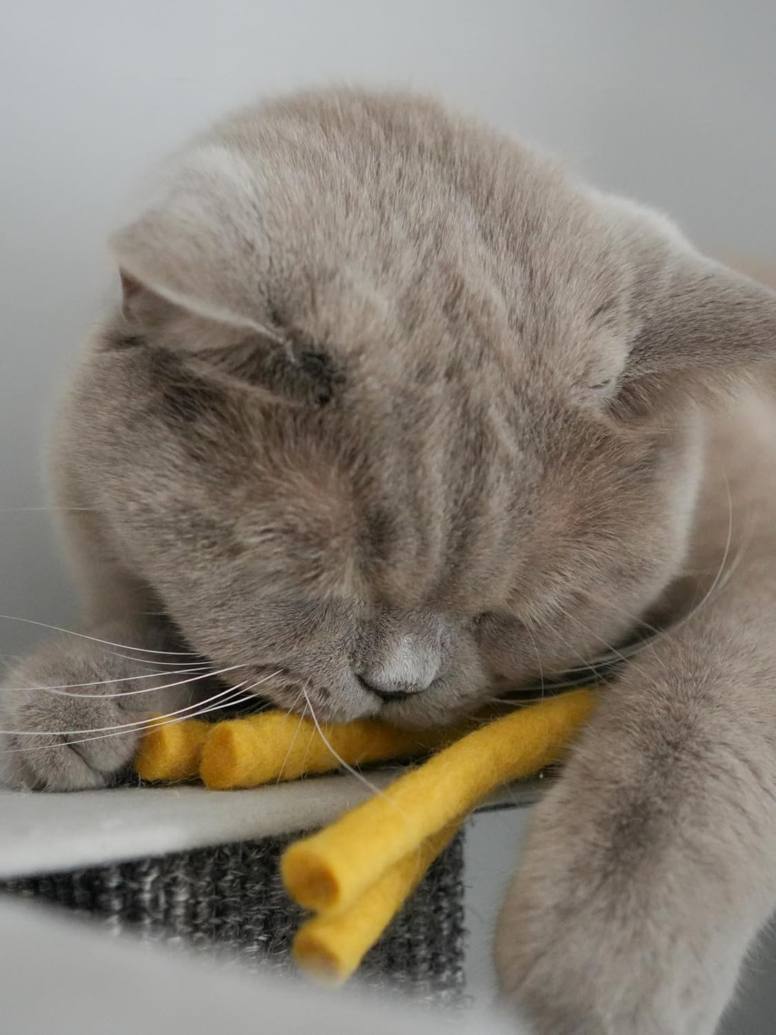 MEWOW 5 Felt Fries Cat Toy PAW Frites Pure Virgin Wool Cat Ball for Cats image number 4