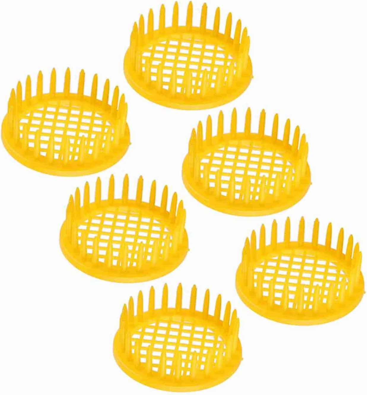 Bee Rearing Box Cell Beekeeping Equipment - 6 Pcs Bee Rearing Box, Beekeeping Tools for Isolation image number 5