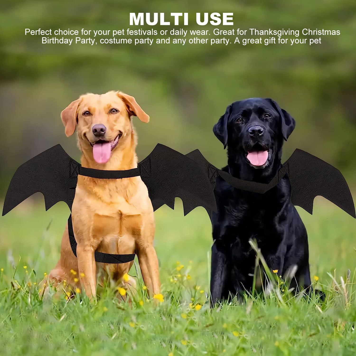 Pet Cat Bat Wings for Halloween Party, Thanksgiving Costume for Cats and Dogs, Puppy Collar Leads Cosplay, Wings for Pet Costume image number 4