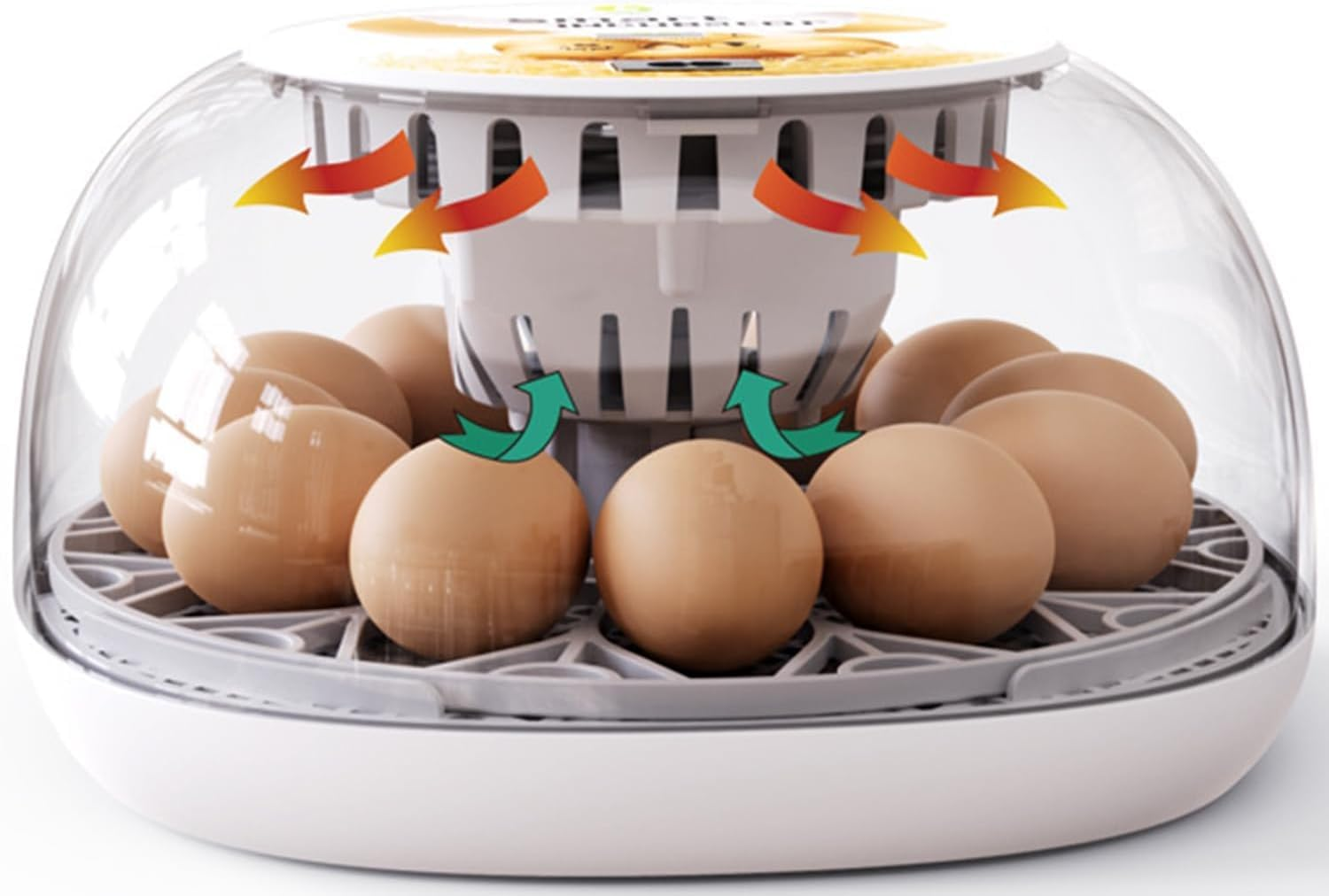 Premium Egg Incubator, Automatic Egg Hatching Incubator, 12 Eggs Poultry Hatcher with Automatic Temperature Control for Hatching, Chicken, Duck, Goose, Quail, Bird Eggs (Gray) image number 1