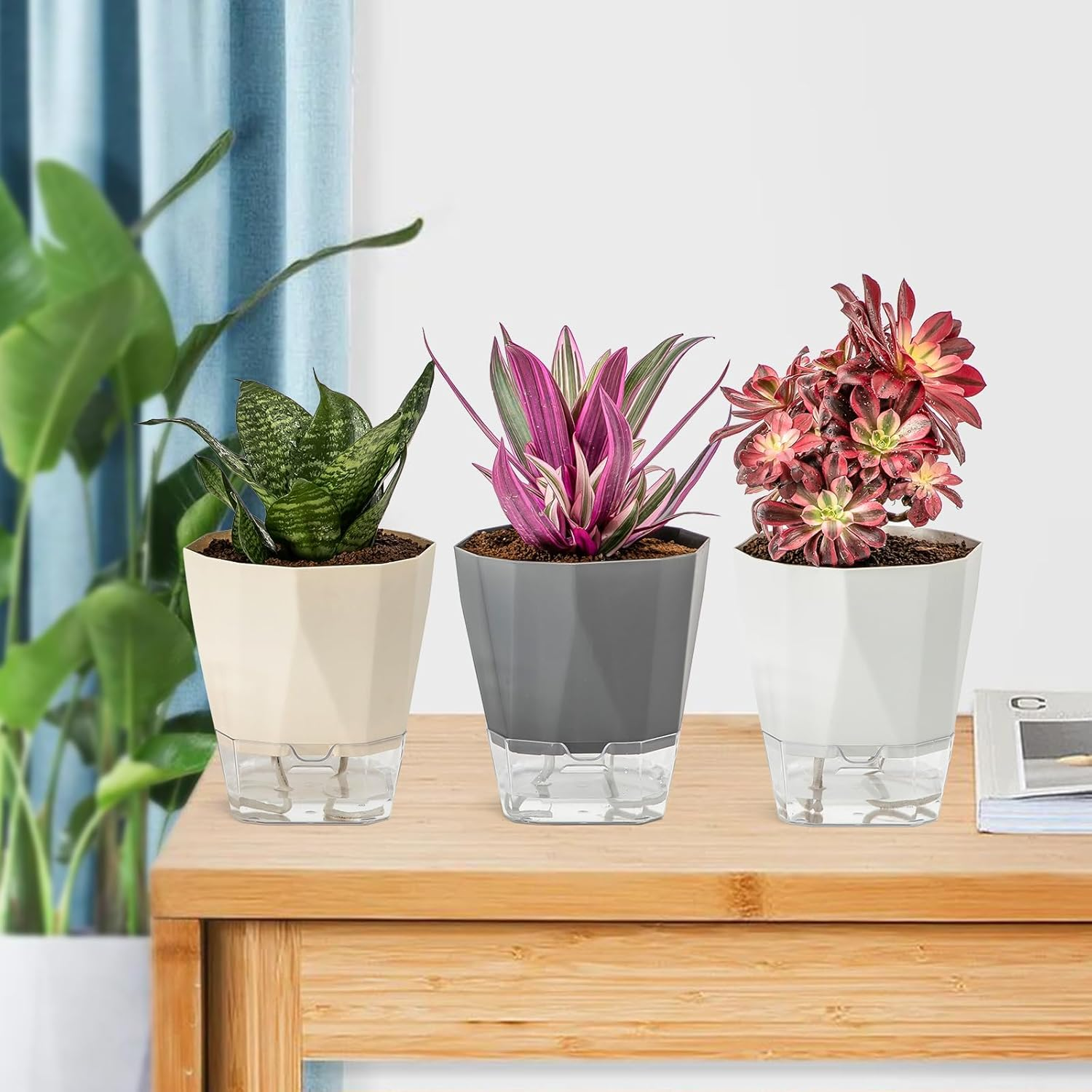 3-Pack Self Watering Planter Pots, 6.7 Inch Plastic Planters with Drainage Holes, Cotton Rope and Trays, Decorative Flower Pots for Indoor Outdoor Garden Plants (Multicolor) image number 2